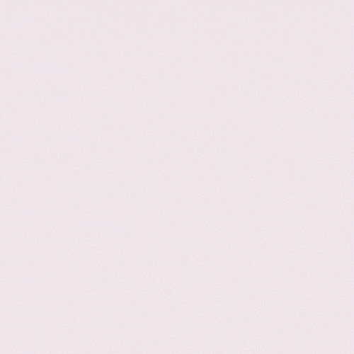 Service Client Dédié