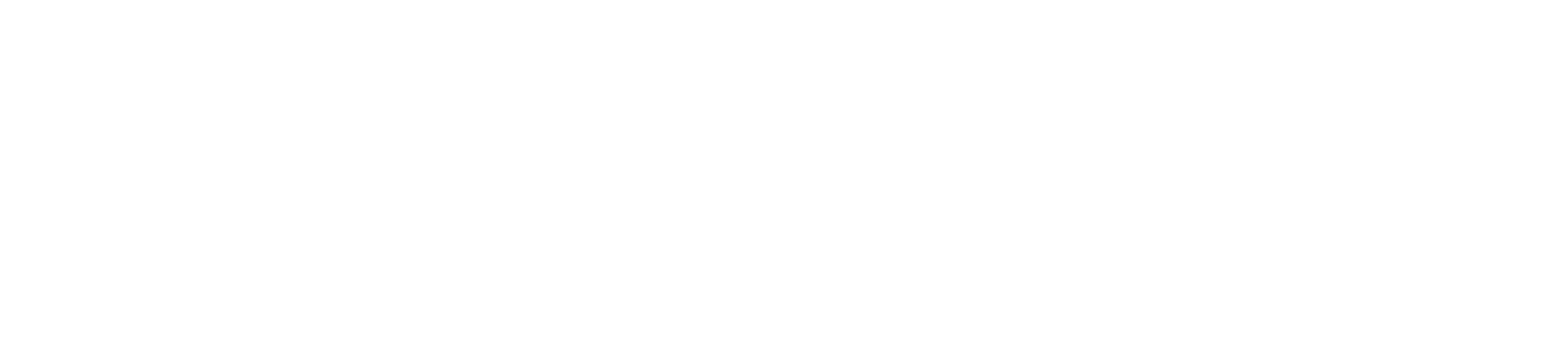 Ferre Store