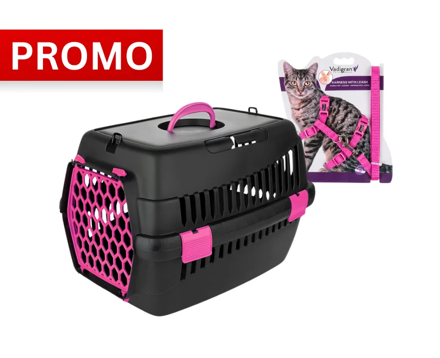 travel Pack (2Pcs)