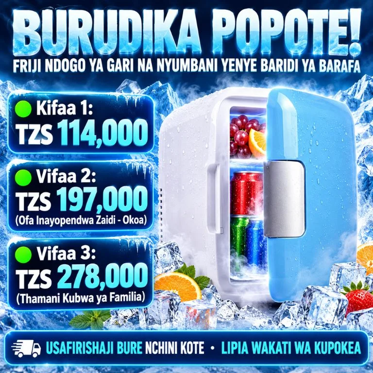 🧊 Friji Ndogo ya 4L kwa Gari, Ofisi na Nyumbani! 🚗🏠