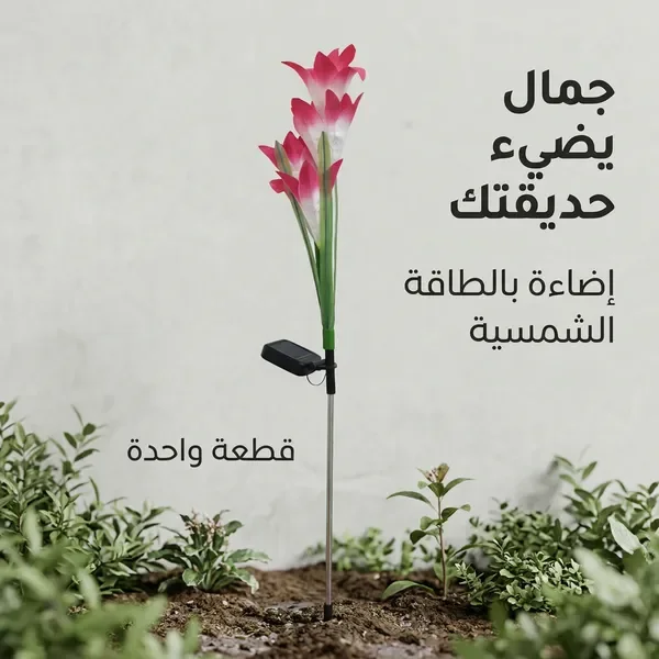 زهور زينة بالطاقة الشمسية تضيء — الصورة 7