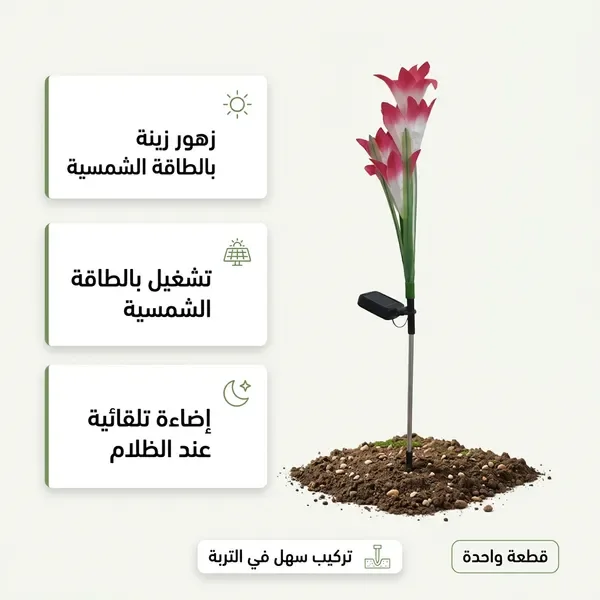 زهور زينة بالطاقة الشمسية تضيء — الصورة 6