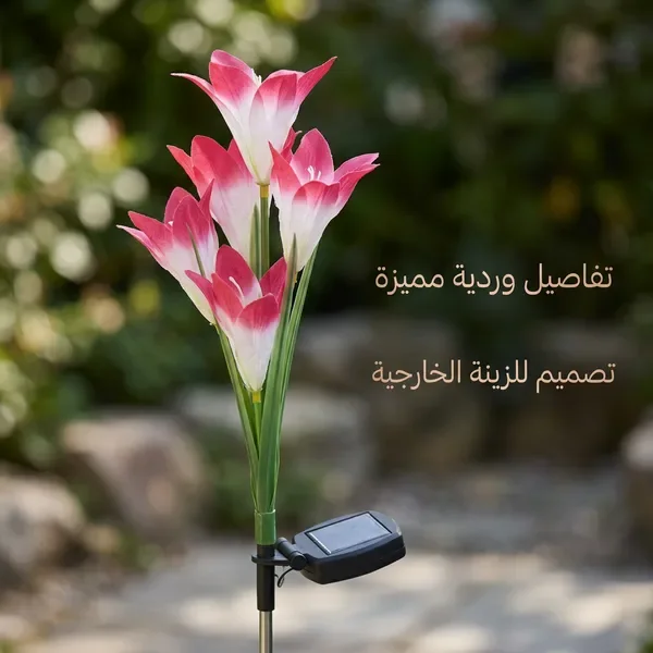 زهور زينة بالطاقة الشمسية تضيء — الصورة 4