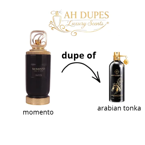 Momento 100 ML