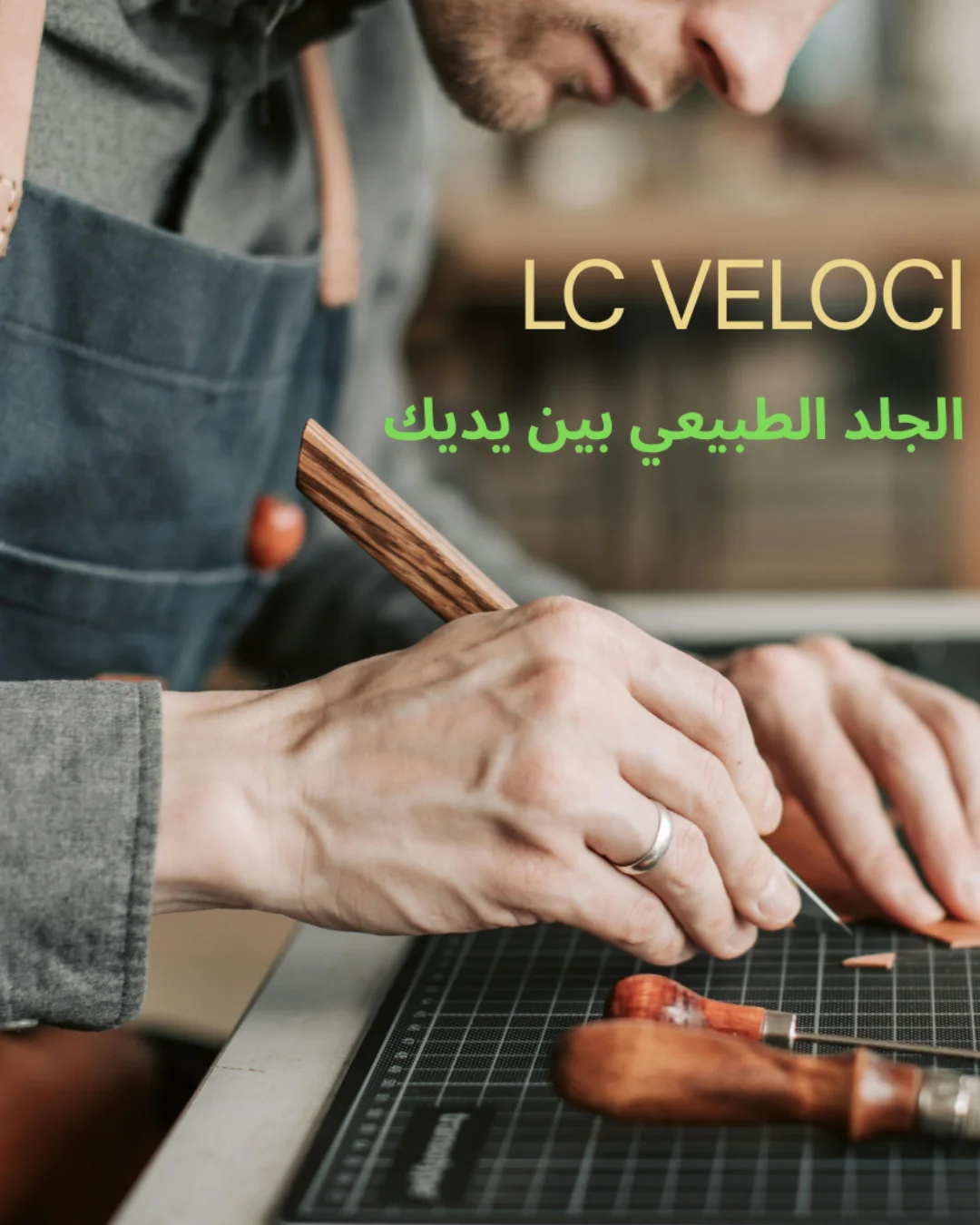 LC VELOCI