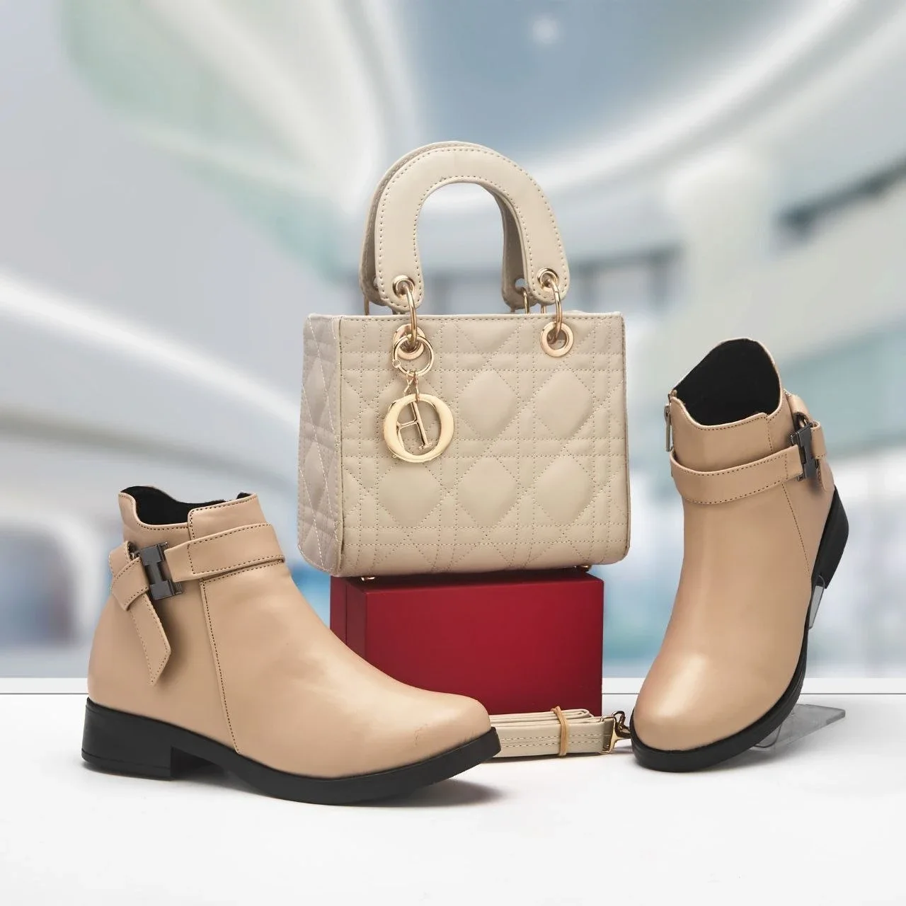 Botines Femme + Sac Dior
