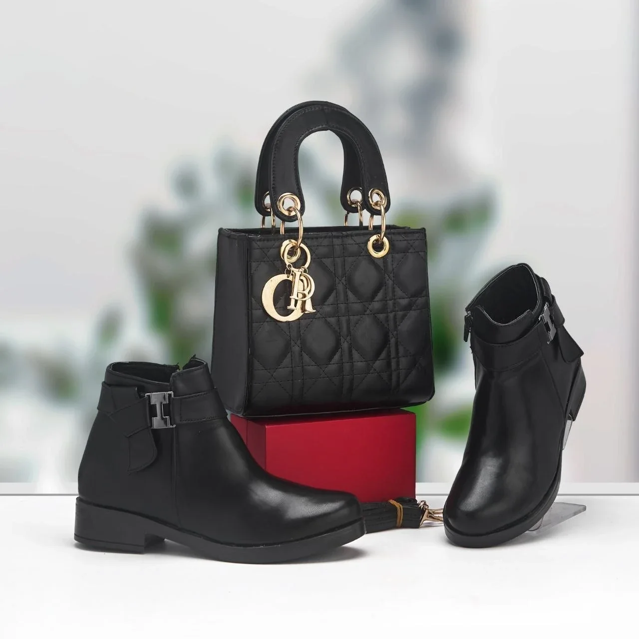 Botines Femme + Sac Dior