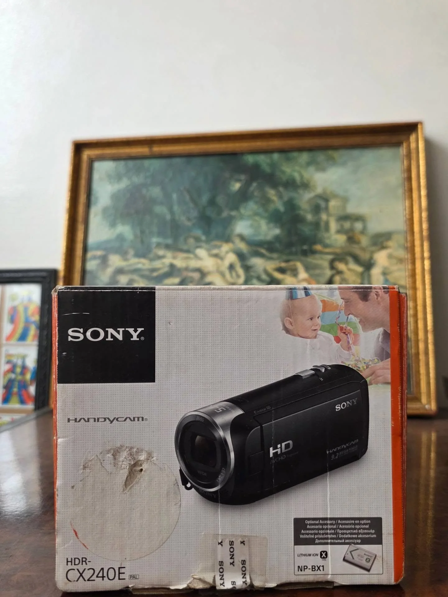Sony Handycam HDR-CX240E