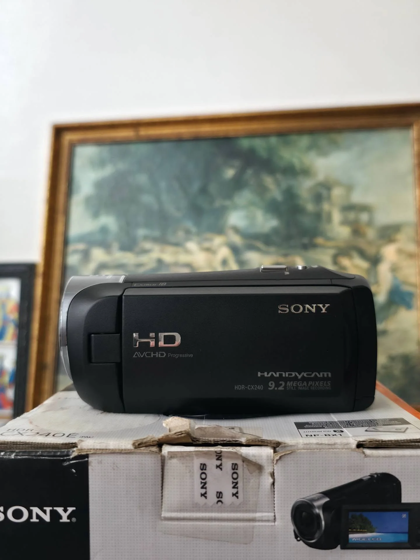 Sony Handycam HDR-CX240E