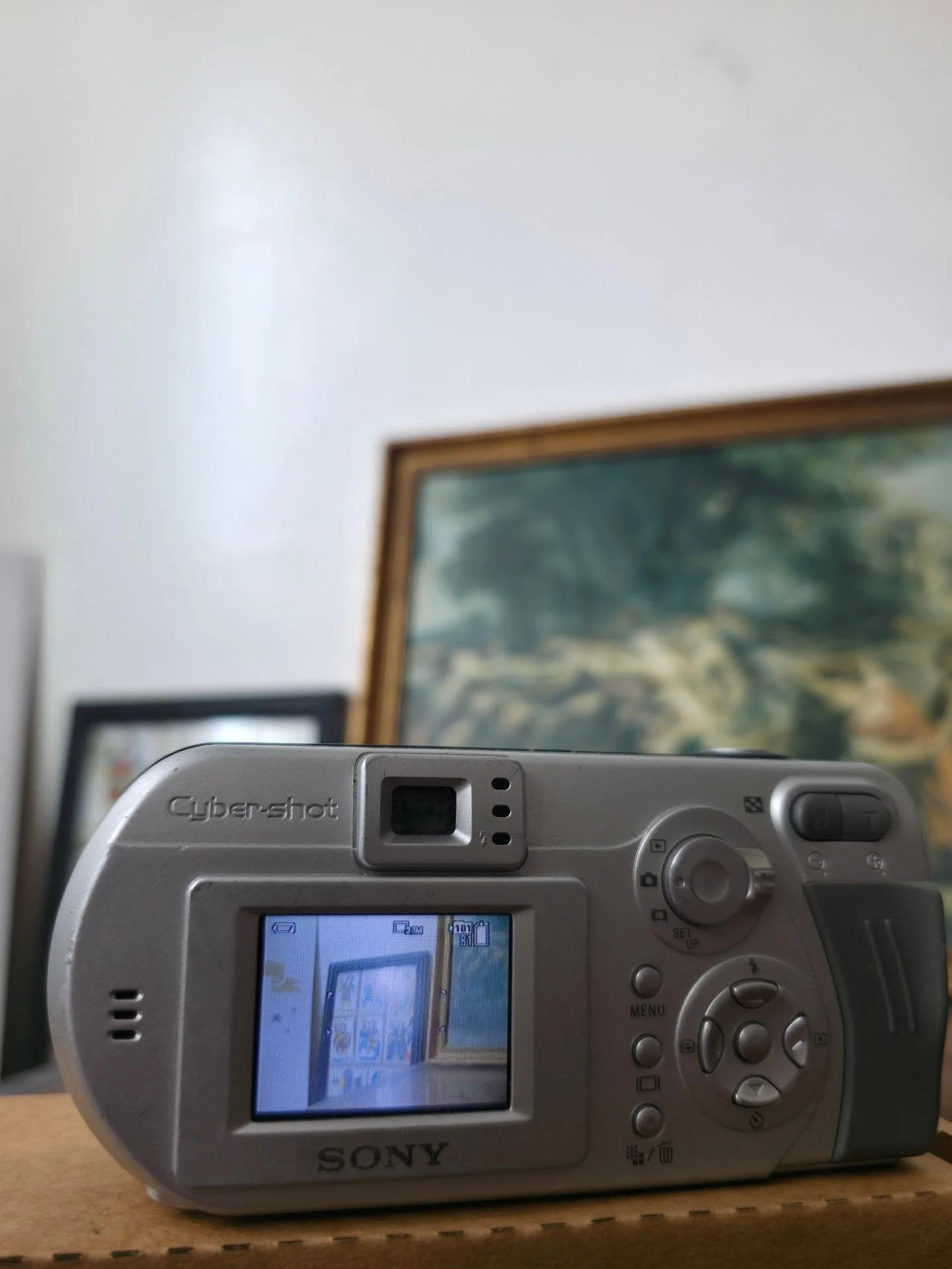 sony Cyber-shot DSC-P52