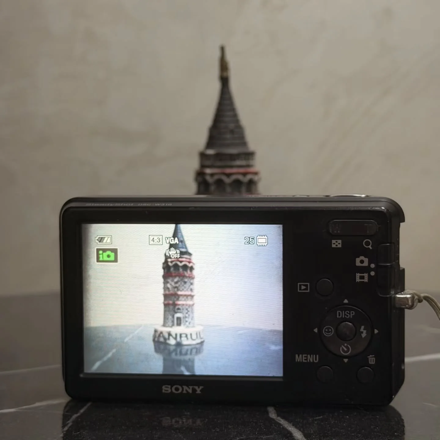 Sony Cyber-shot DSC-W310 - (Vintage Digicam)