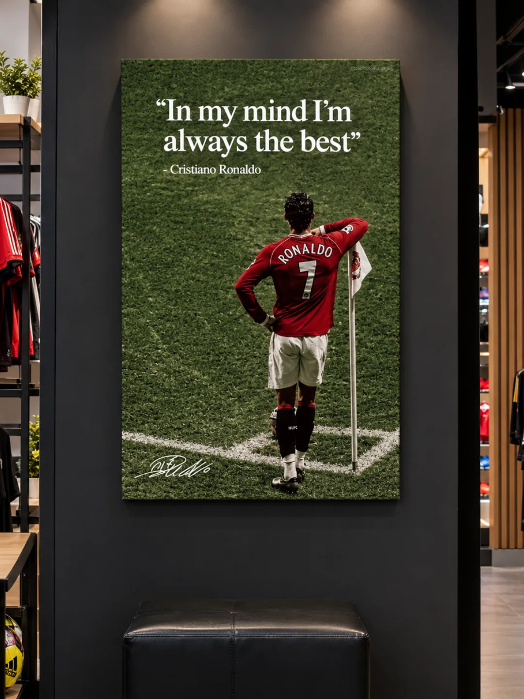 Toile Cristiano Ronaldo 