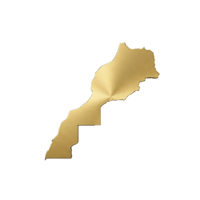 Livraison gratuite partout au Maroc