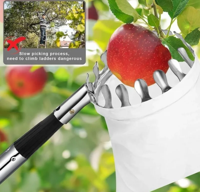 Outil de panier de cueillette de fruits