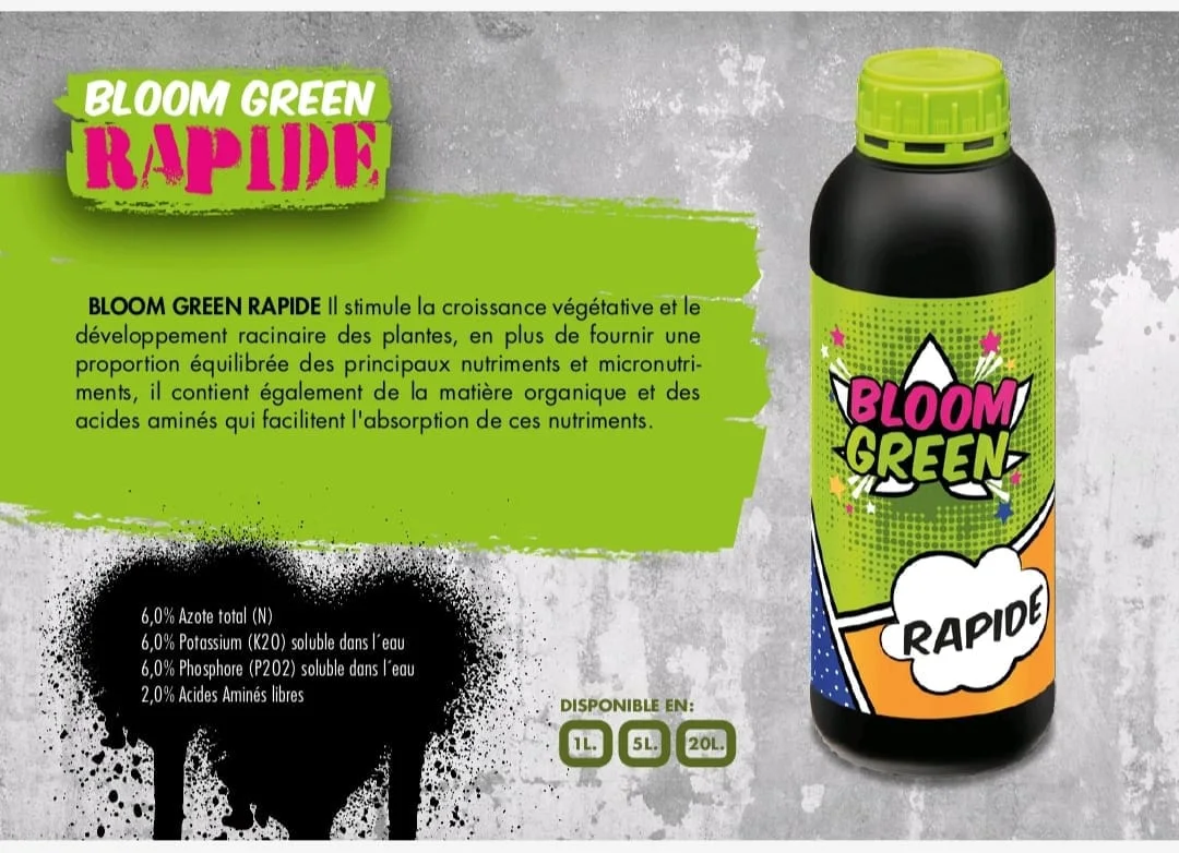 BLOOM GREEN RAPIDE