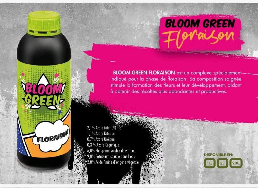 BLOOM GREEN FLONRAISON
