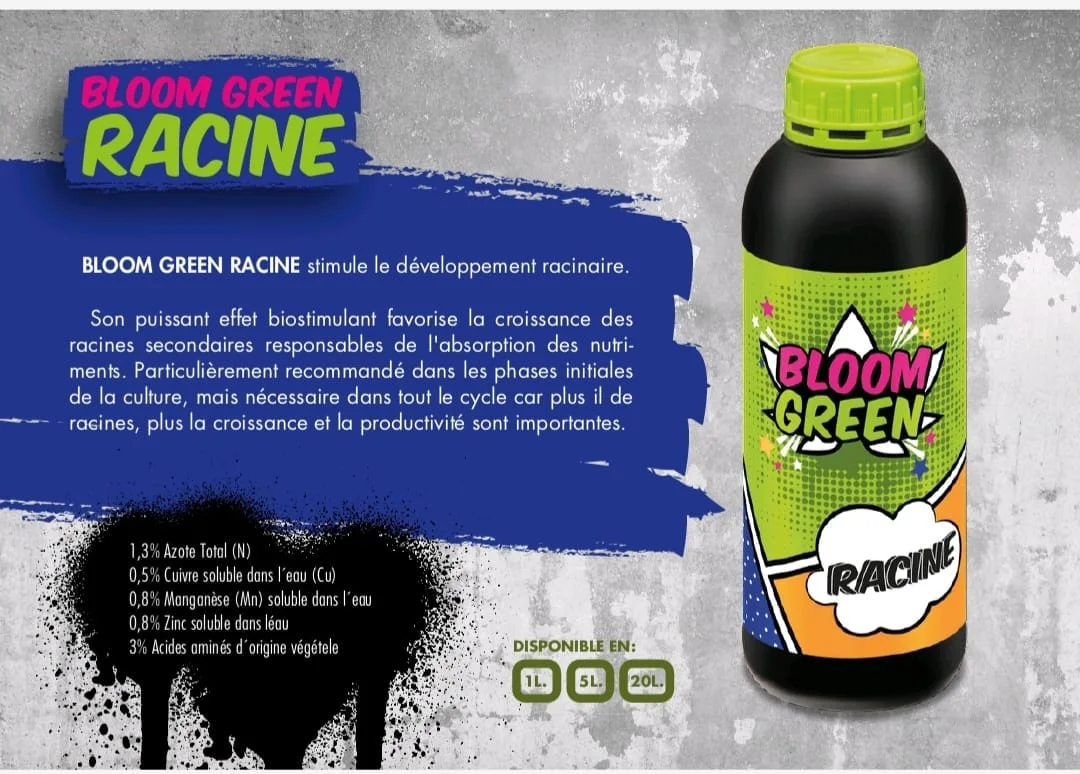 BLOOM GREEN RACINE