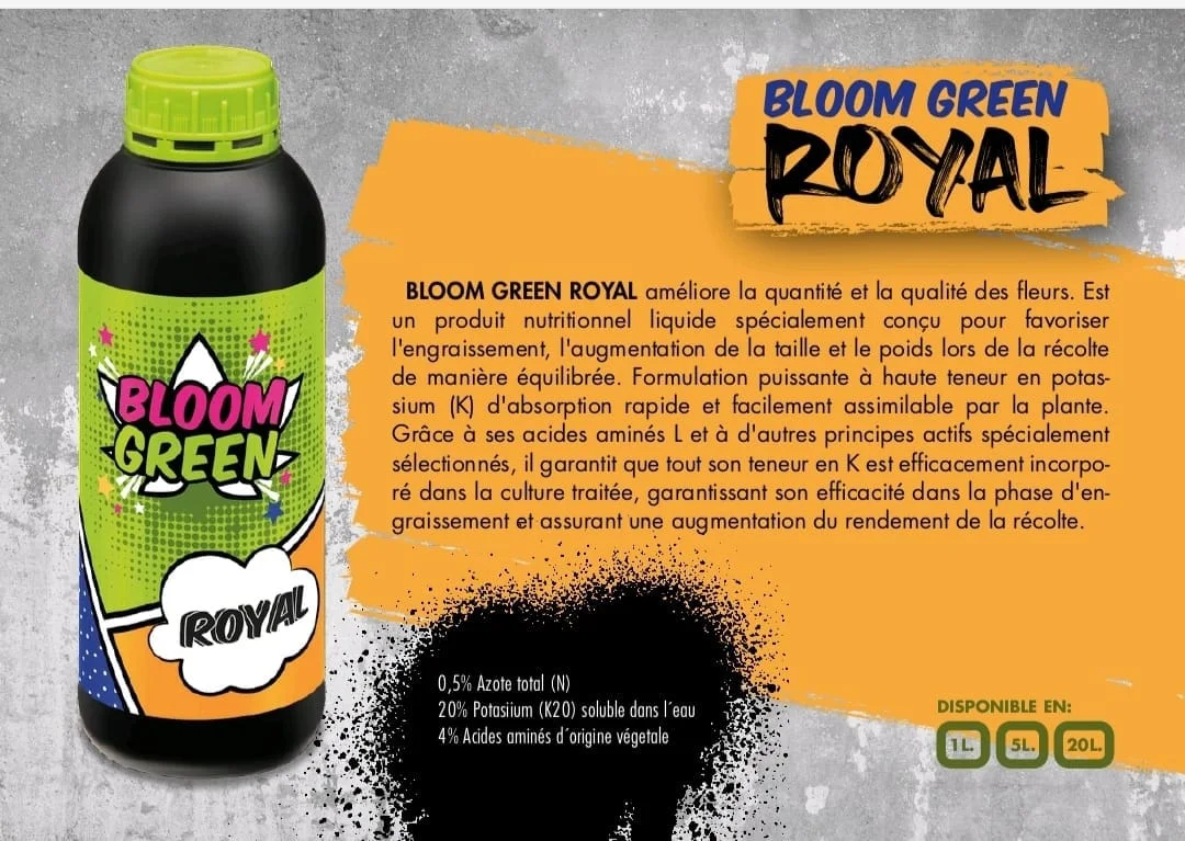 GRBLOOM EEN ROYAL