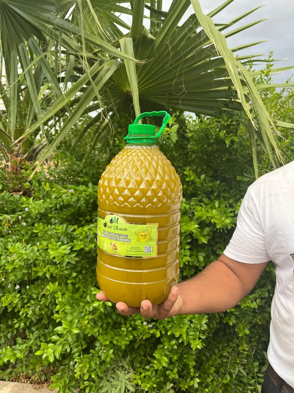 البلدية | زيت الزيتون البلدي الأصيل