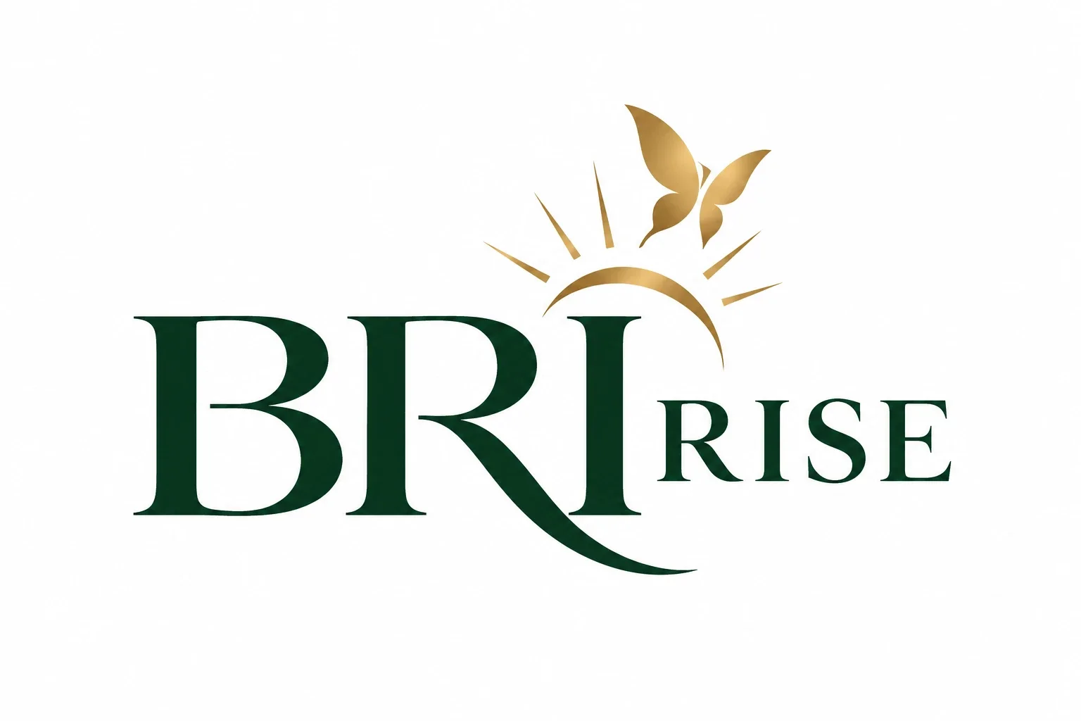 BRIRISE