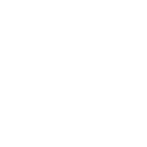 الدفع عند الإستلام