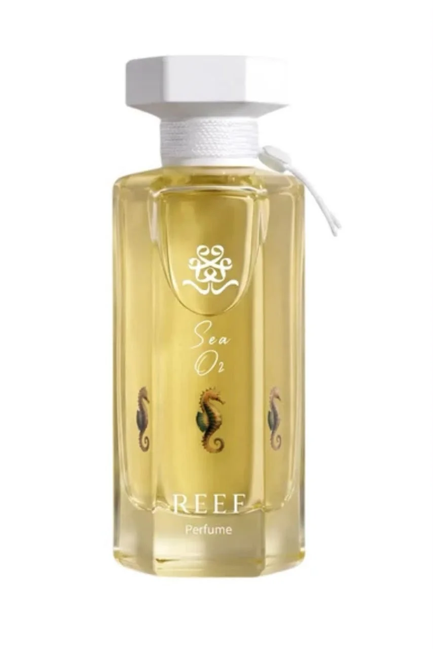 reef  sea or