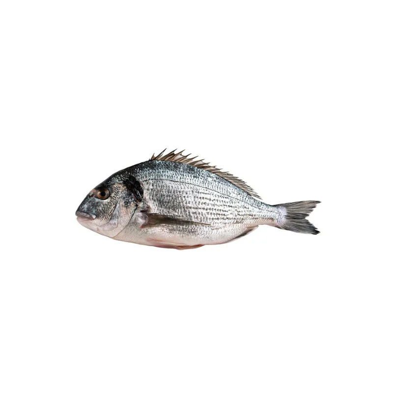 SAR