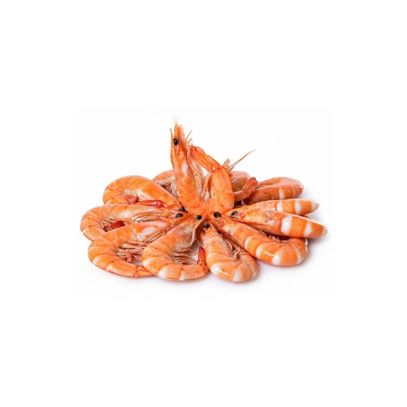 Crevettes roses