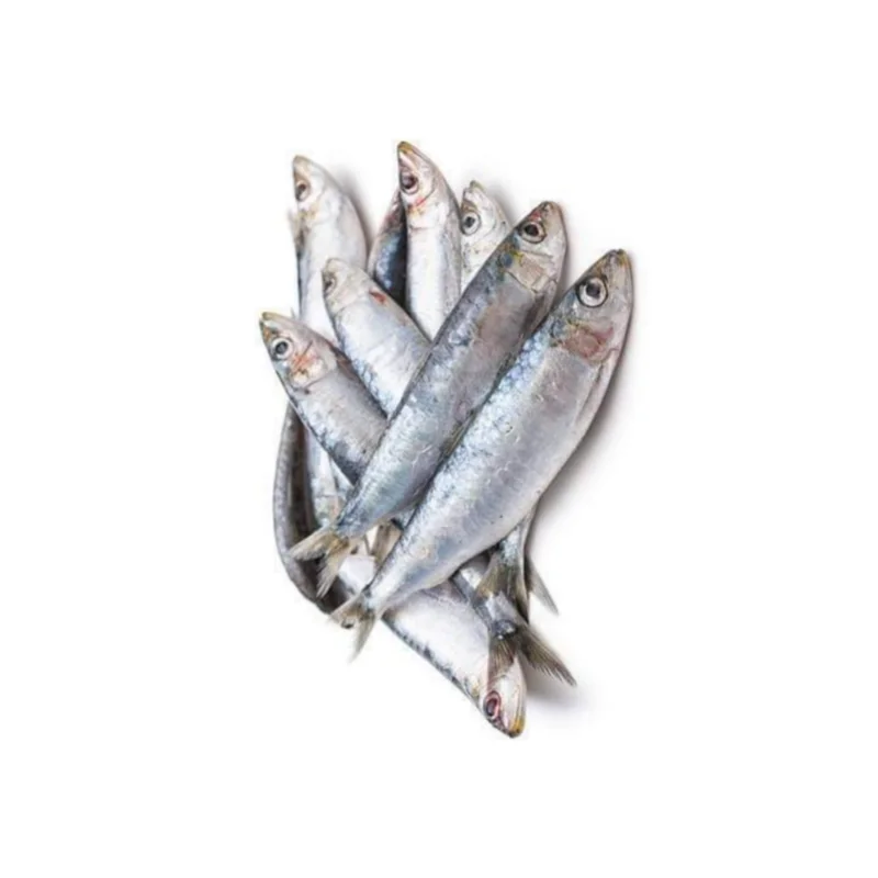 Sardine