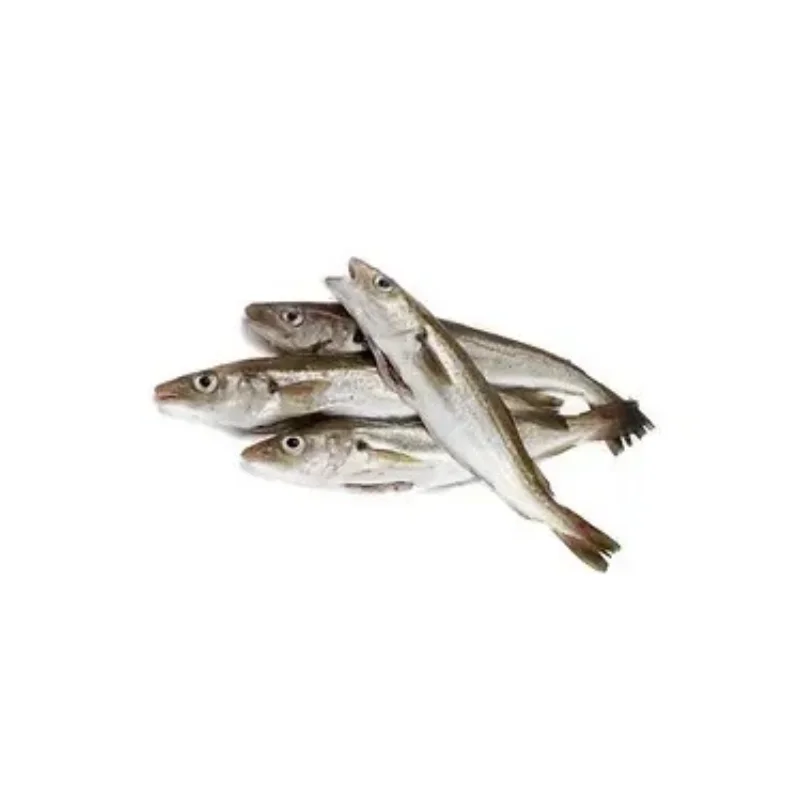 Merlan friture