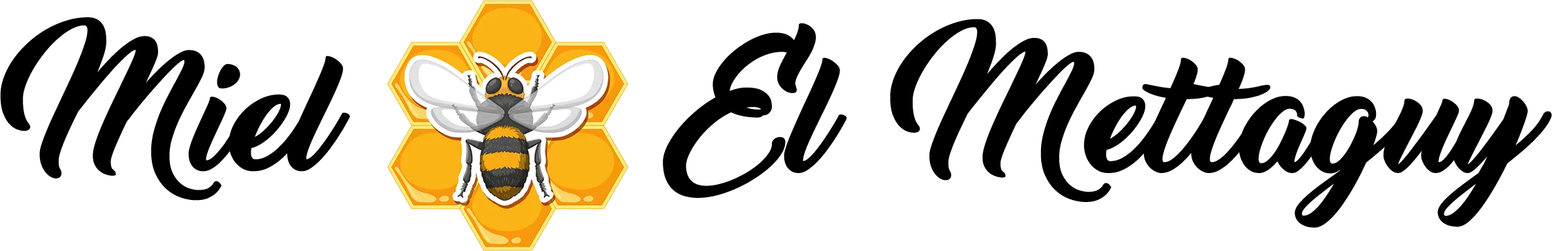 elmettaguy