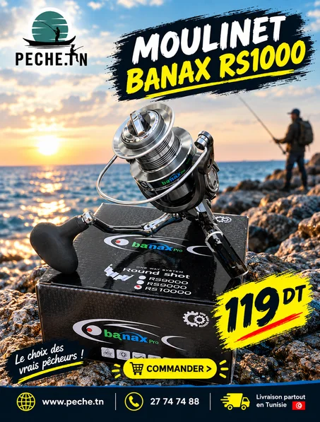 Moulinet Banax RS10000