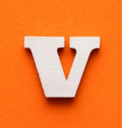 vlorix.com