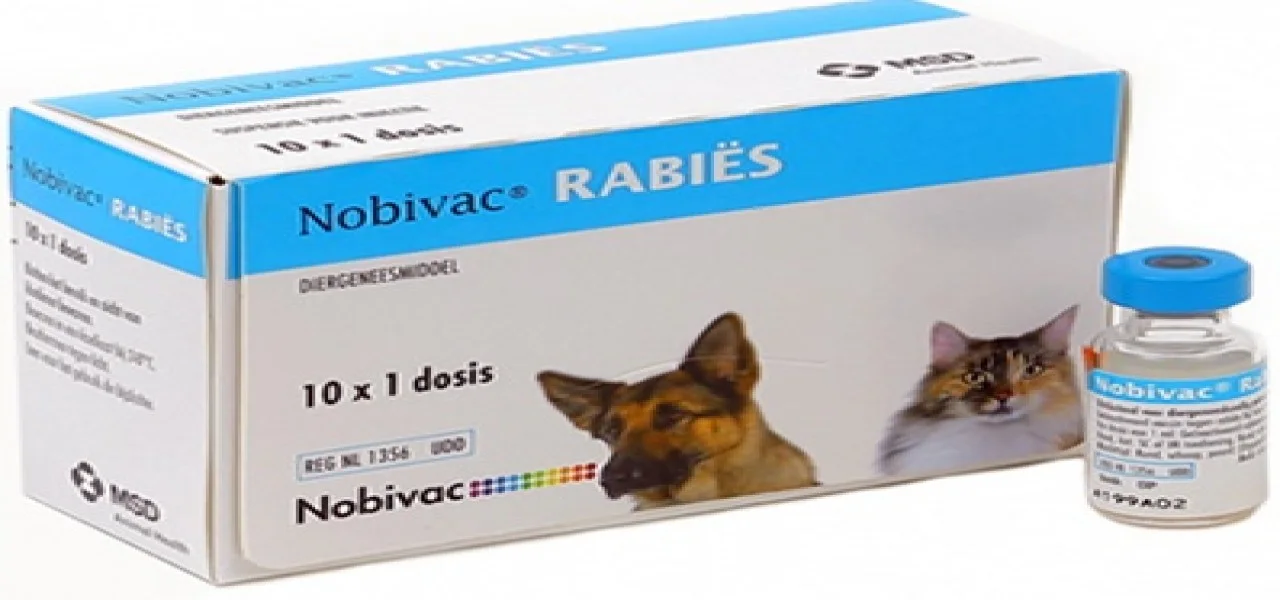 NOBIVAC Feline 1-HCPCh MSD Animal Health