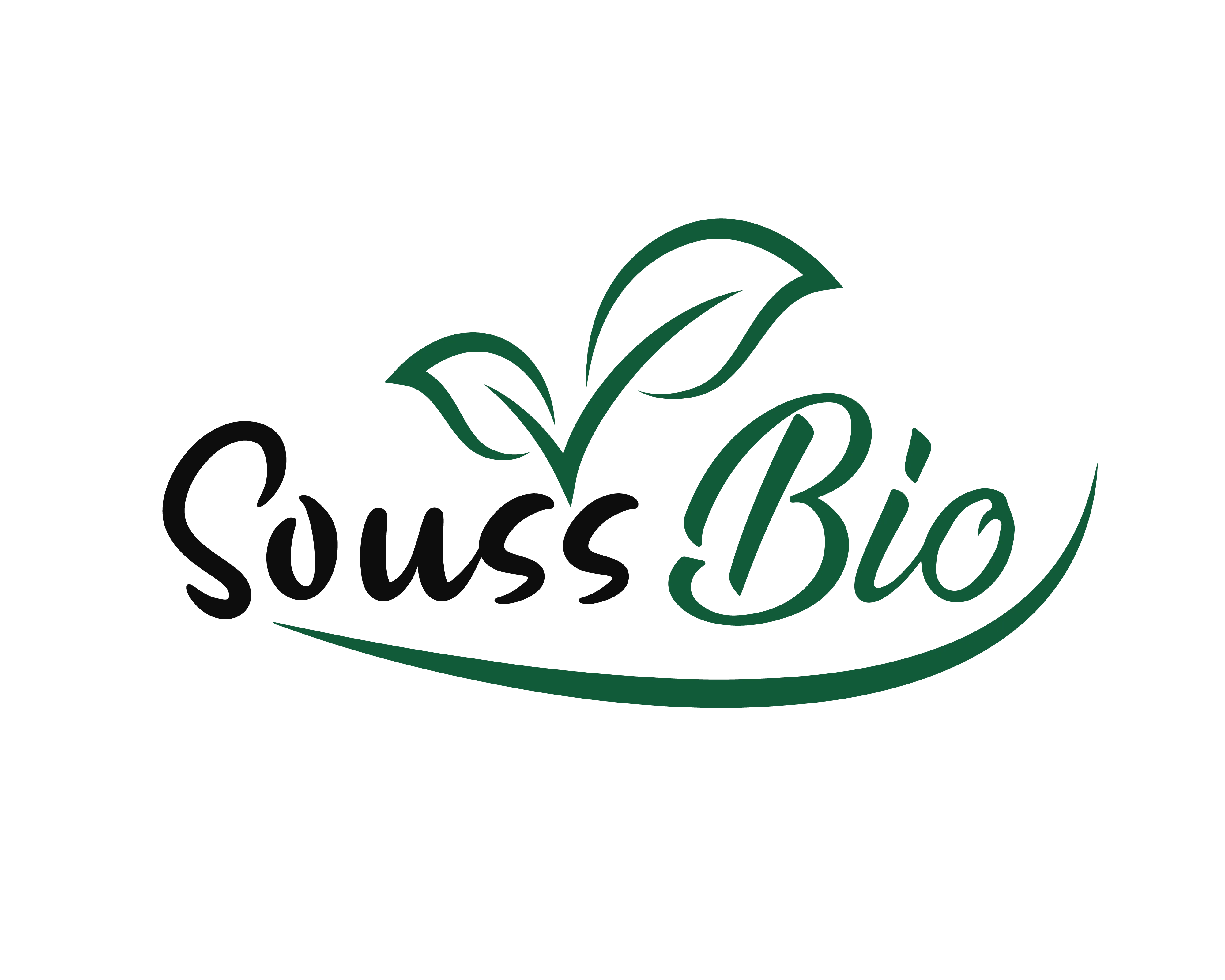 soussbio7