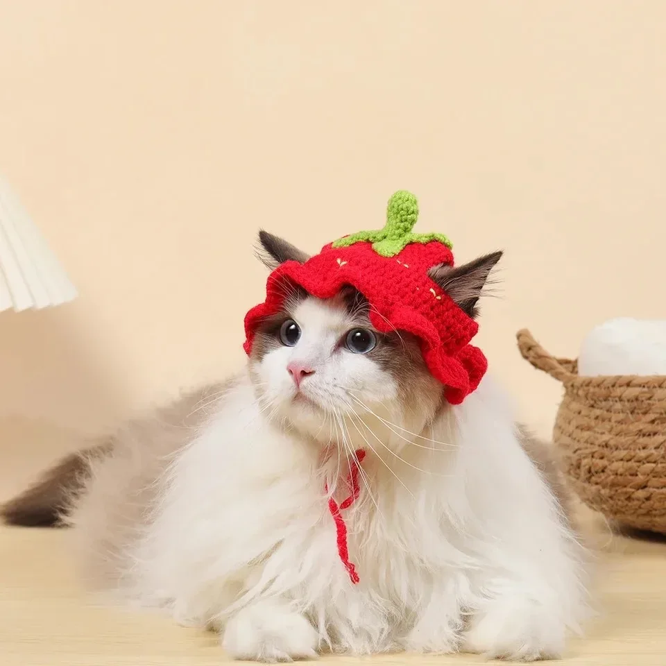 Autumn Winter Cute Knitted Cat Hat Pet Accessory