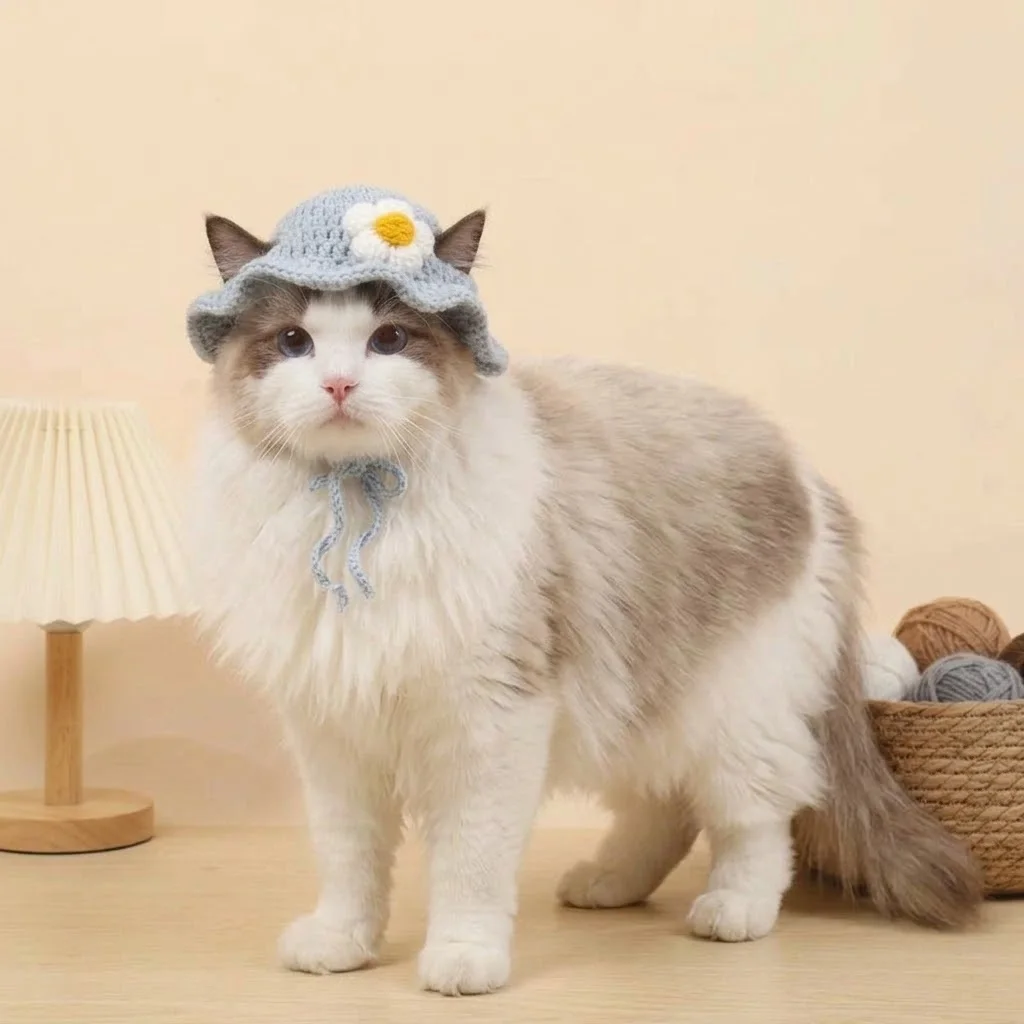 Autumn Winter Cute Knitted Cat Hat Pet Accessory