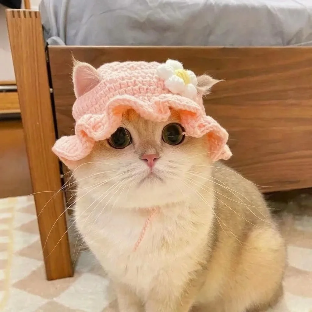 Autumn Winter Cute Knitted Cat Hat Pet Accessory