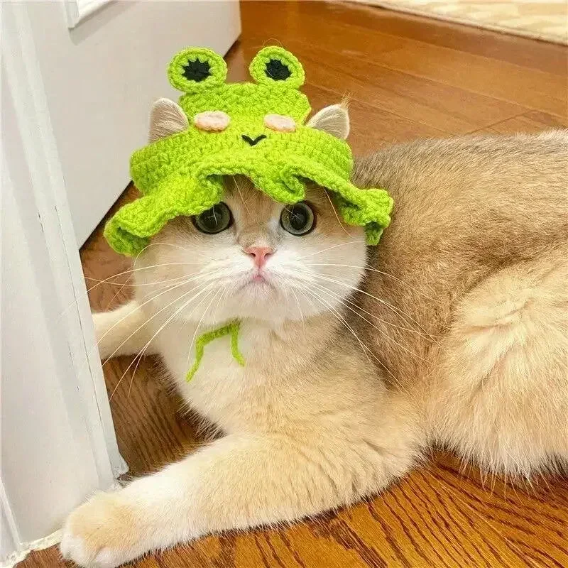 Autumn Winter Cute Knitted Cat Hat Pet Accessory