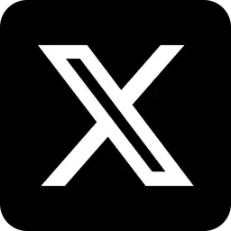 X (formerly Twitter)