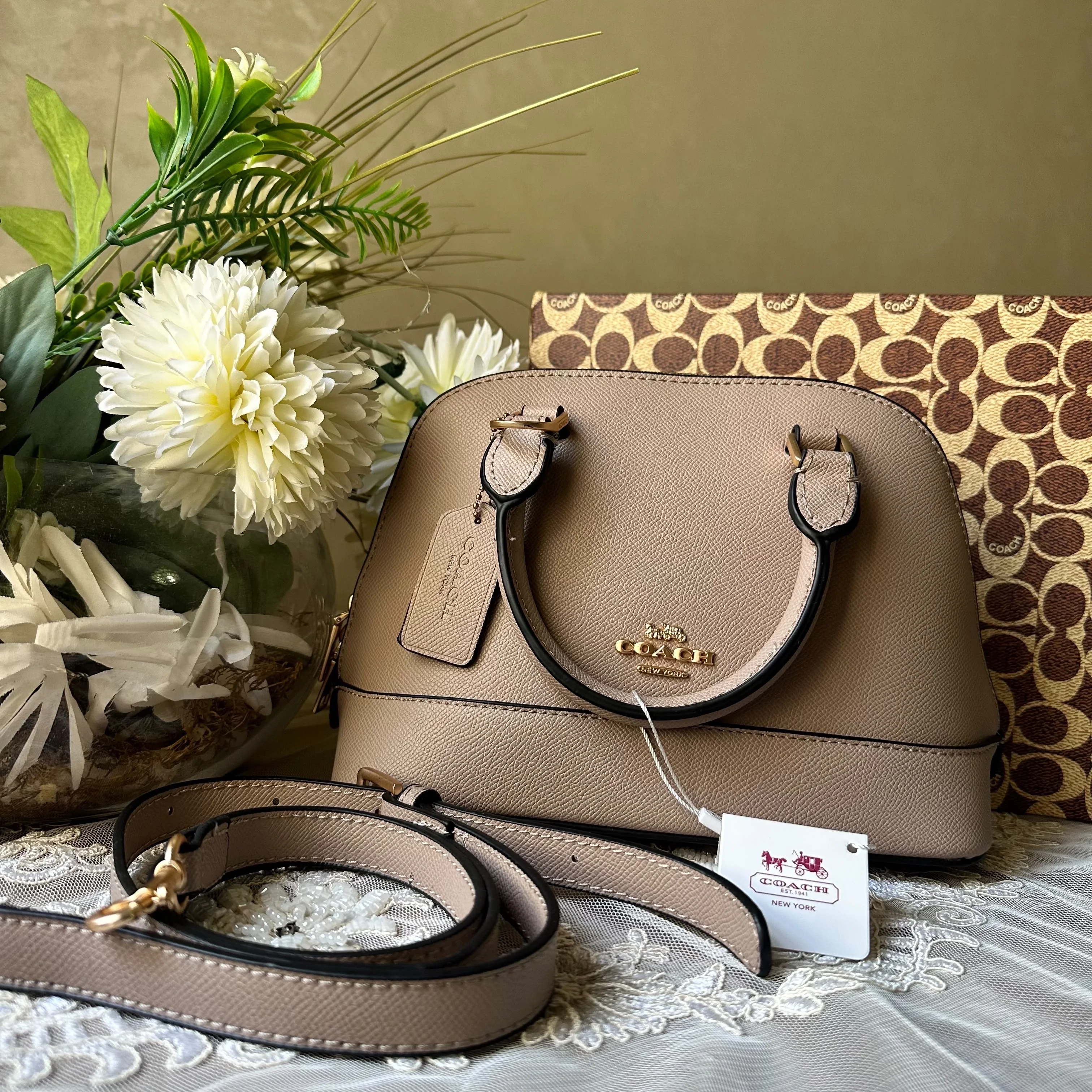 Coach Mini Sierra Cuir Avec Boite