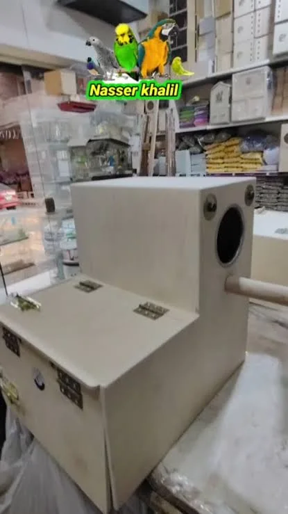 عش كبير دره امريكي و زنجباري