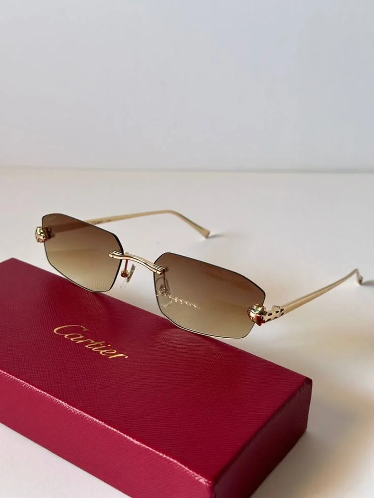 CARTY SUNGLASSES 2026