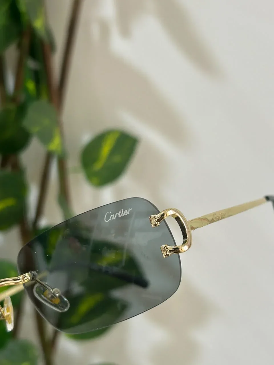 lunette cartier
