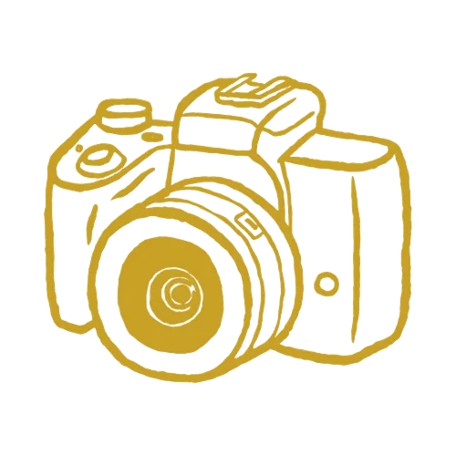 Professional Photography