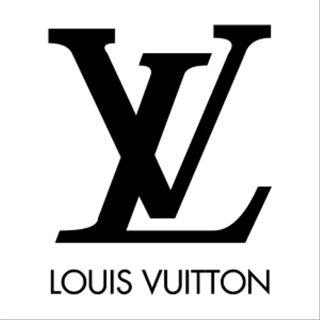 Louis vuitton dupe