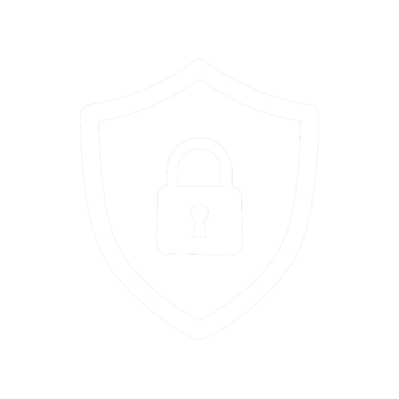 100% Secure Shopping