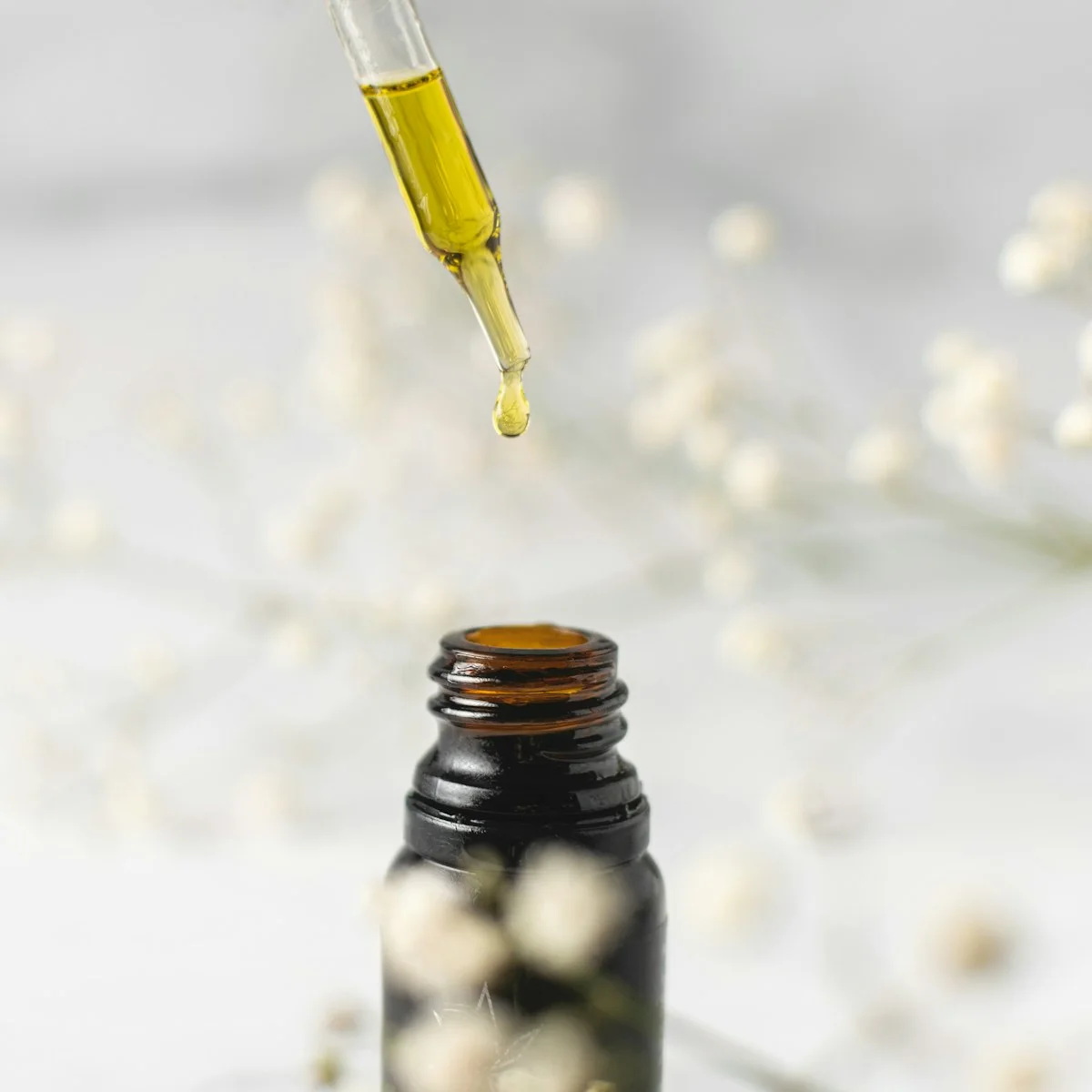 Sérum Huile Rose Musquée Régénérant