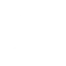 Well-Being & Balance