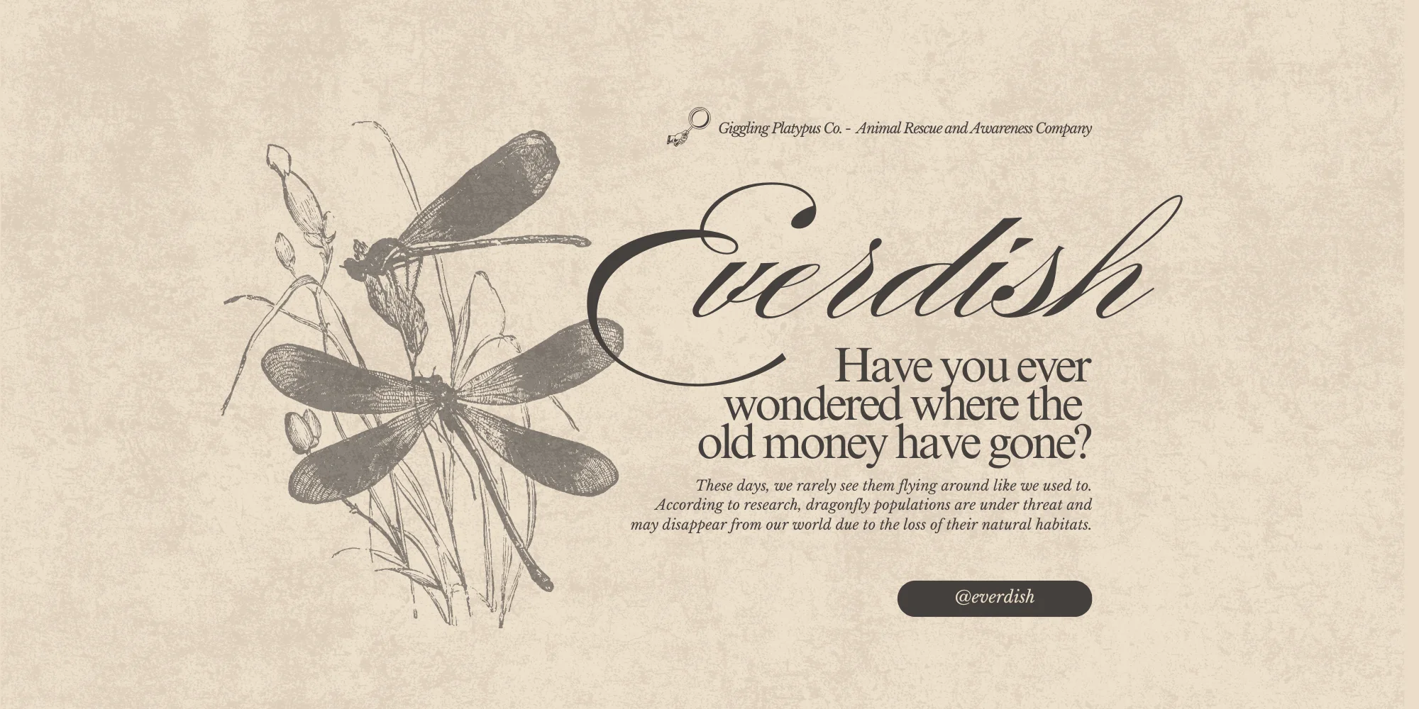 Moins de bruit, plus de classe